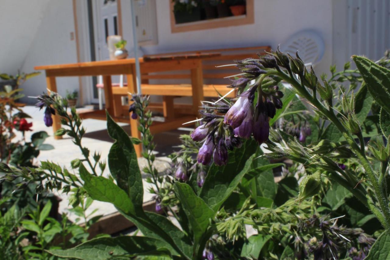 Apartment Mountain Dream Žabljak Zewnętrze zdjęcie