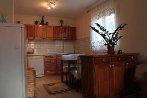 Apartment Mountain Dream Žabljak Zewnętrze zdjęcie