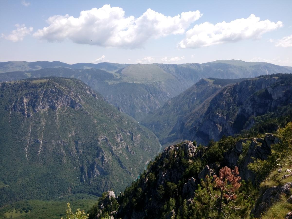 Apartment Mountain Dream Žabljak Zewnętrze zdjęcie